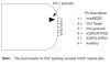 pin_out_2189.jpg 26.02 KB