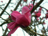 test1.jpg 293.73 KB