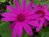 test2.jpg 354.76 KB