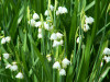 test3.jpg 402.12 KB