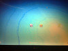 29072010004.jpg 397.76 KB