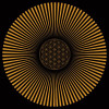 Sacred_geometry_illusion.jpg 93.52 KB