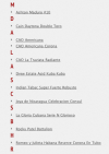 Screen_shot_2011-03-22_at_10.09_.10_PM_.png 142.83 KB