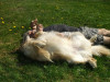 DSCF3623.JPG 284.62 KB