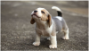 input-image-for-video-generation.png 518.91 KB