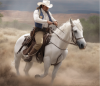 image1.png 1171.04 KB