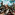 Member Avatar
