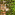 Member Avatar