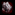 Member Avatar