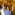 Member Avatar