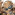 Member Avatar