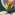 Member Avatar