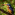 Member Avatar
