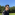 Member Avatar