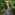 Member Avatar