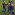 Member Avatar