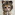 Member Avatar