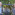 Member Avatar