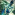 Member Avatar