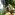 Member Avatar