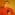 Member Avatar