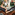 Member Avatar