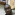 Member Avatar