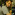 Member Avatar