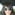 Member Avatar