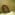 Member Avatar