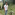 Member Avatar