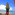 Member Avatar