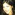 Member Avatar