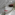 Member Avatar