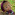 Member Avatar
