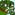 Member Avatar