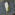 Member Avatar