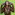 Member Avatar
