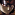 Member Avatar
