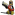 Member Avatar