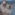 Member Avatar