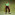 Member Avatar