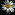 Member Avatar