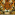 Member Avatar