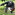 Member Avatar