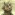 Member Avatar