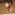 Member Avatar