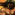 Member Avatar