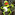 Member Avatar