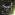 Member Avatar